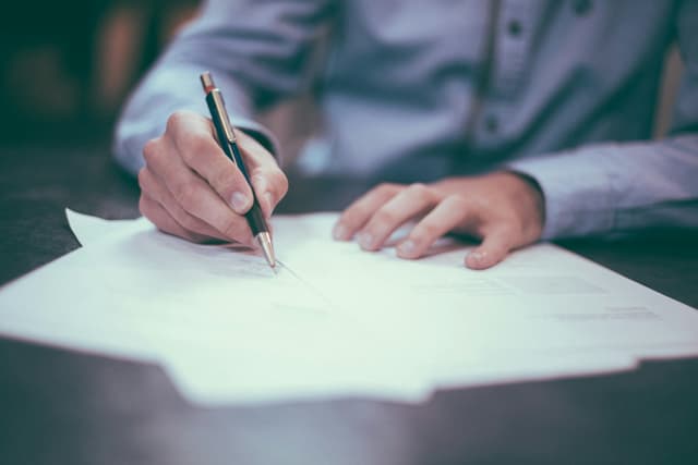 Professional reviewing governance documentation